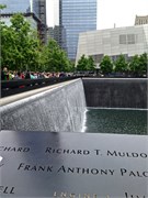NewYork 26